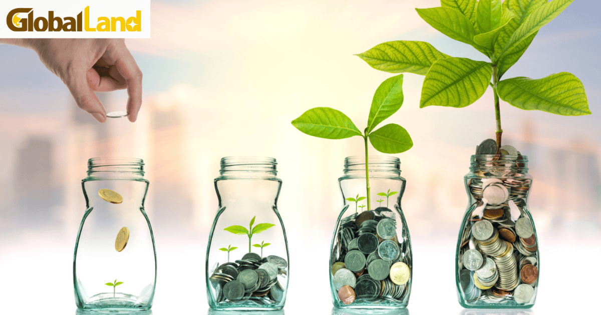 Tư duy dài hạn: điều các nhà đầu tư bất động sản thành công luôn giữ