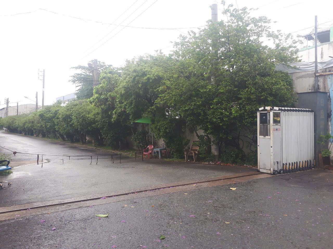 Bán nhà mặt tiền Phan Văn Hớn – Quận 12 | DTKV 531m² (6×88m)
