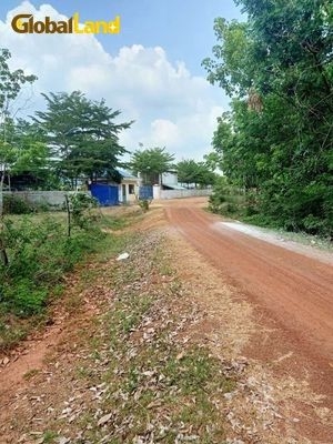 Tập đoàn Gland cần bán đất ở xã Lộc Tấn, Huyện Lộc Ninh, tỉnh Bình Phước