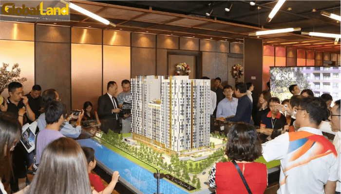 TP.HCM ồ ạt mở bán dự án cuối năm, thị trường phân hóa rõ rệt